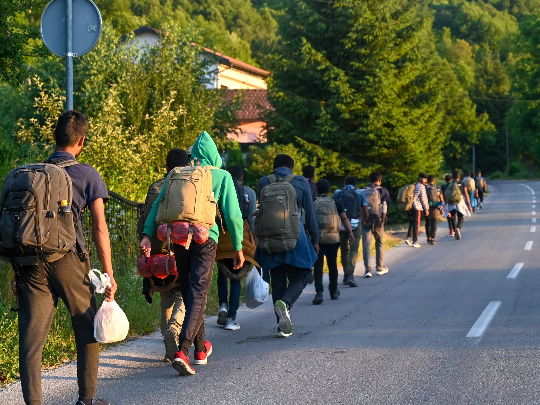 Migranci
