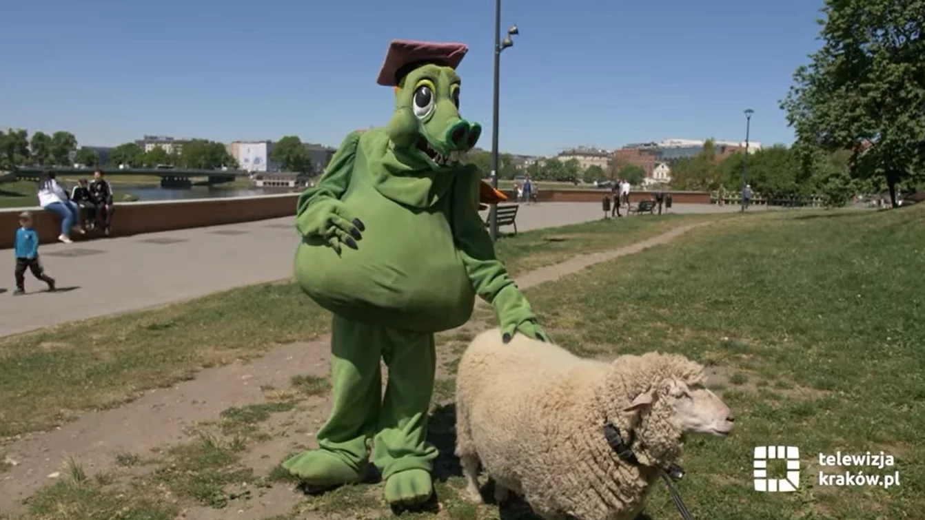 Owca z Krakowa