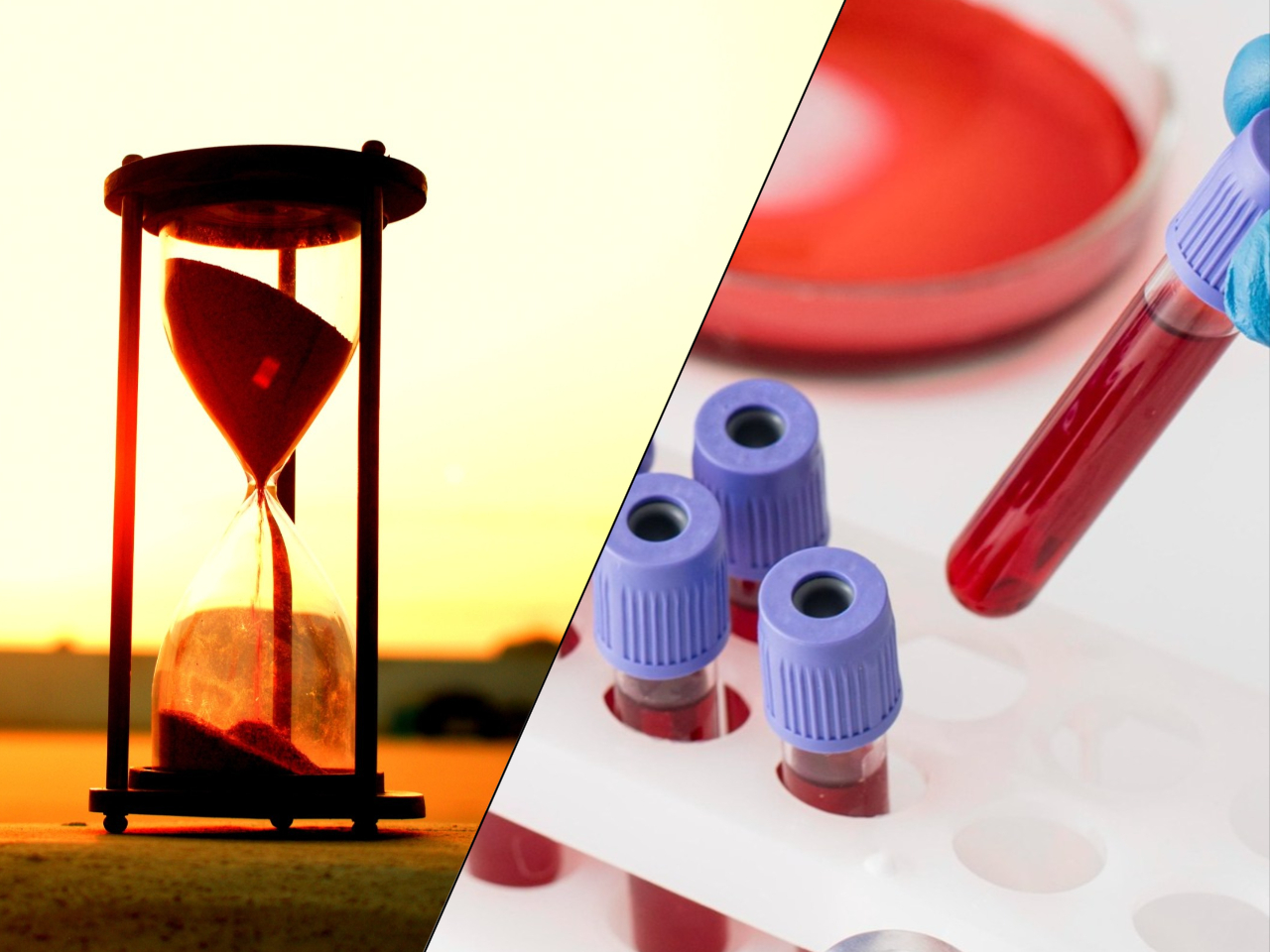 Krew zdradzi twoją przyszłość. Naukowcy opracowali „zegar wieku”