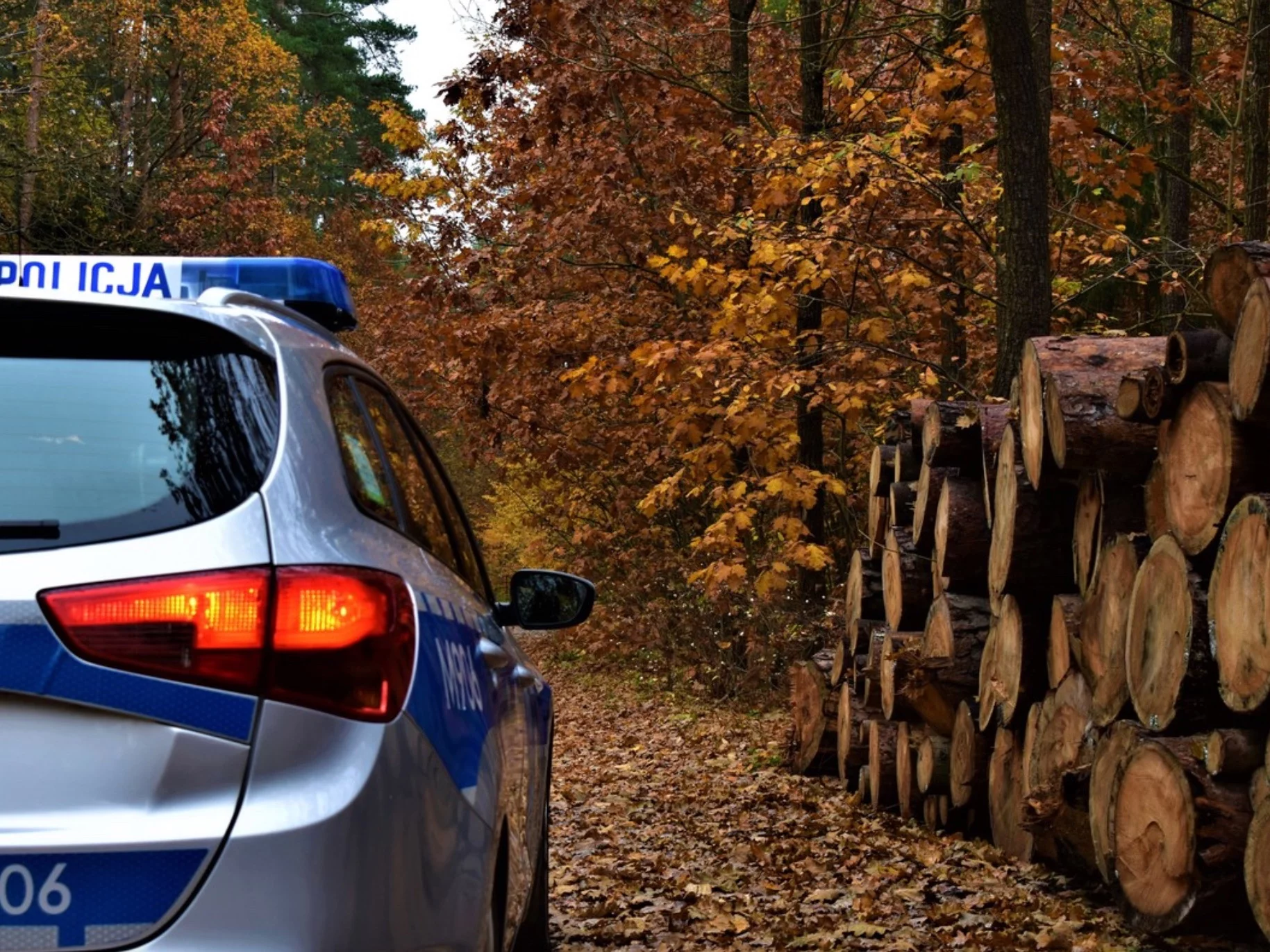 Patrol prowadzący poszukiwania w lesie