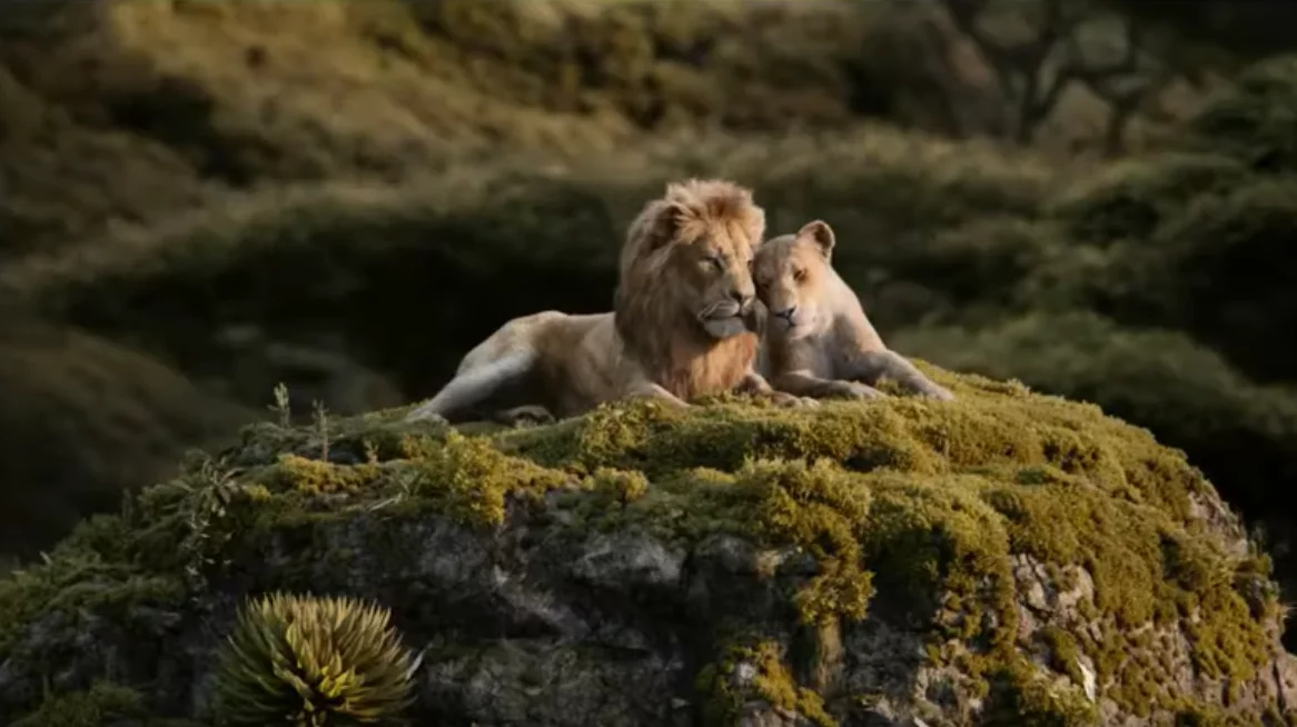 Mia I Biały Lew Cały Film Po Polsku „Król lew”. Piosenka z filmu po polsku. Kiedy premiera filmu