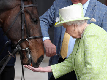 Królowa Elżbieta II i koń McFabulous, 2019 r.