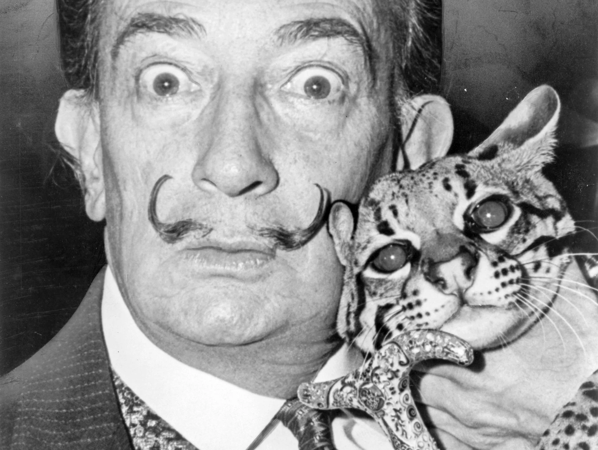 Salvador Dali, zdjęcie z roku 1965