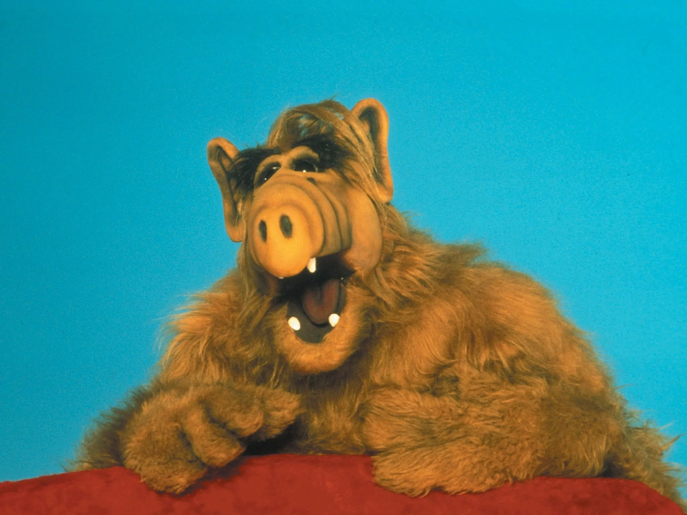 „Alf”