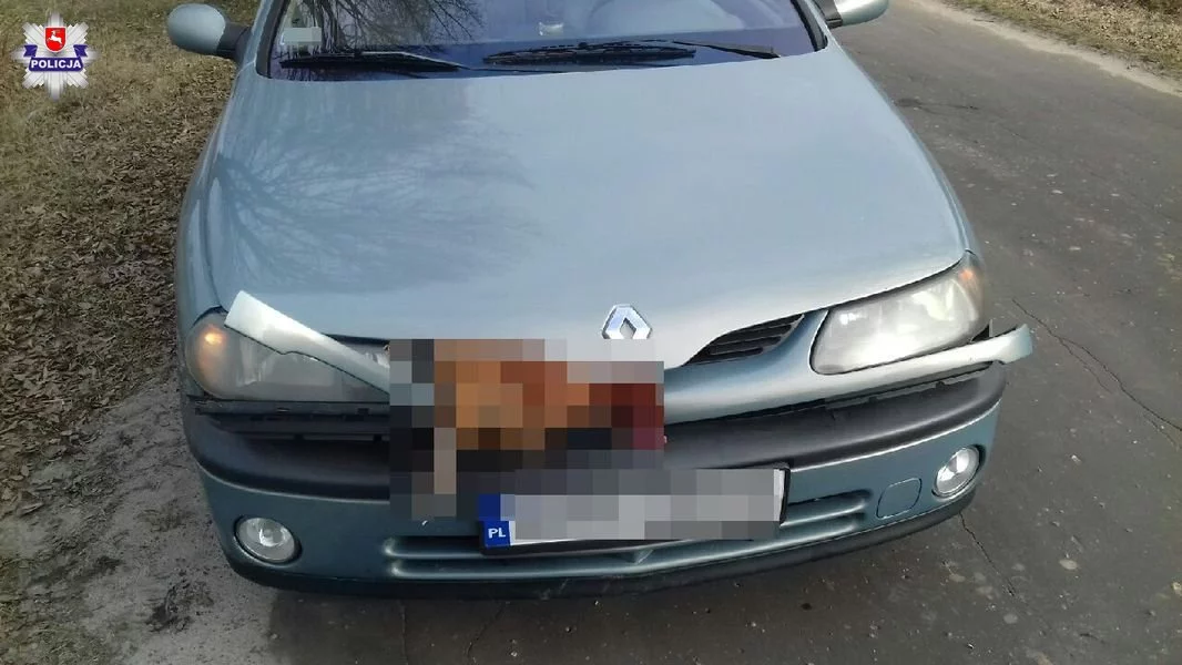 Samochód, z którym zderzyła się kura