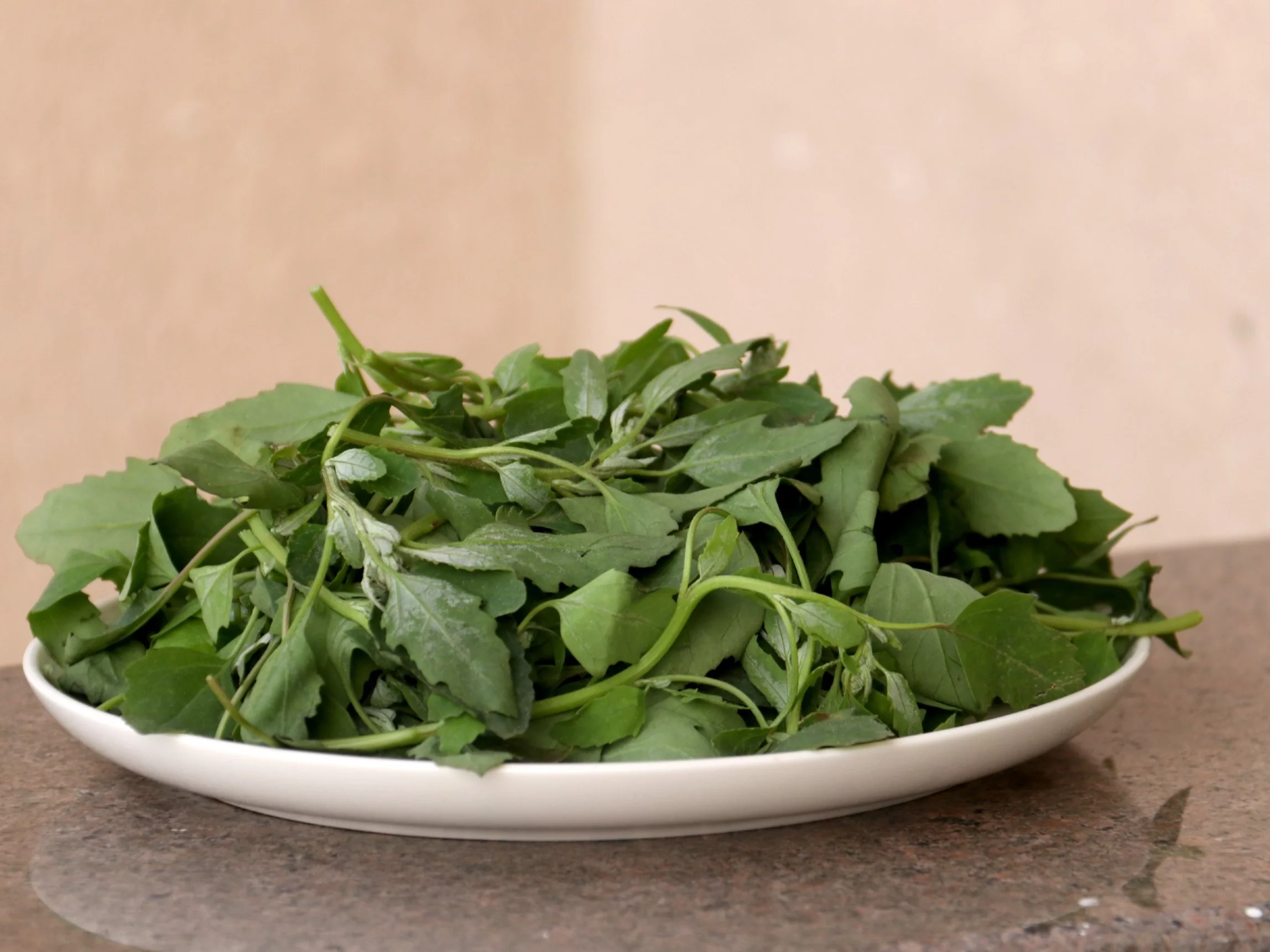 Rośnie pod nogami i może zastąpić szpinak. Zbierzesz za darmo, a Polacy o niej zapomnieli