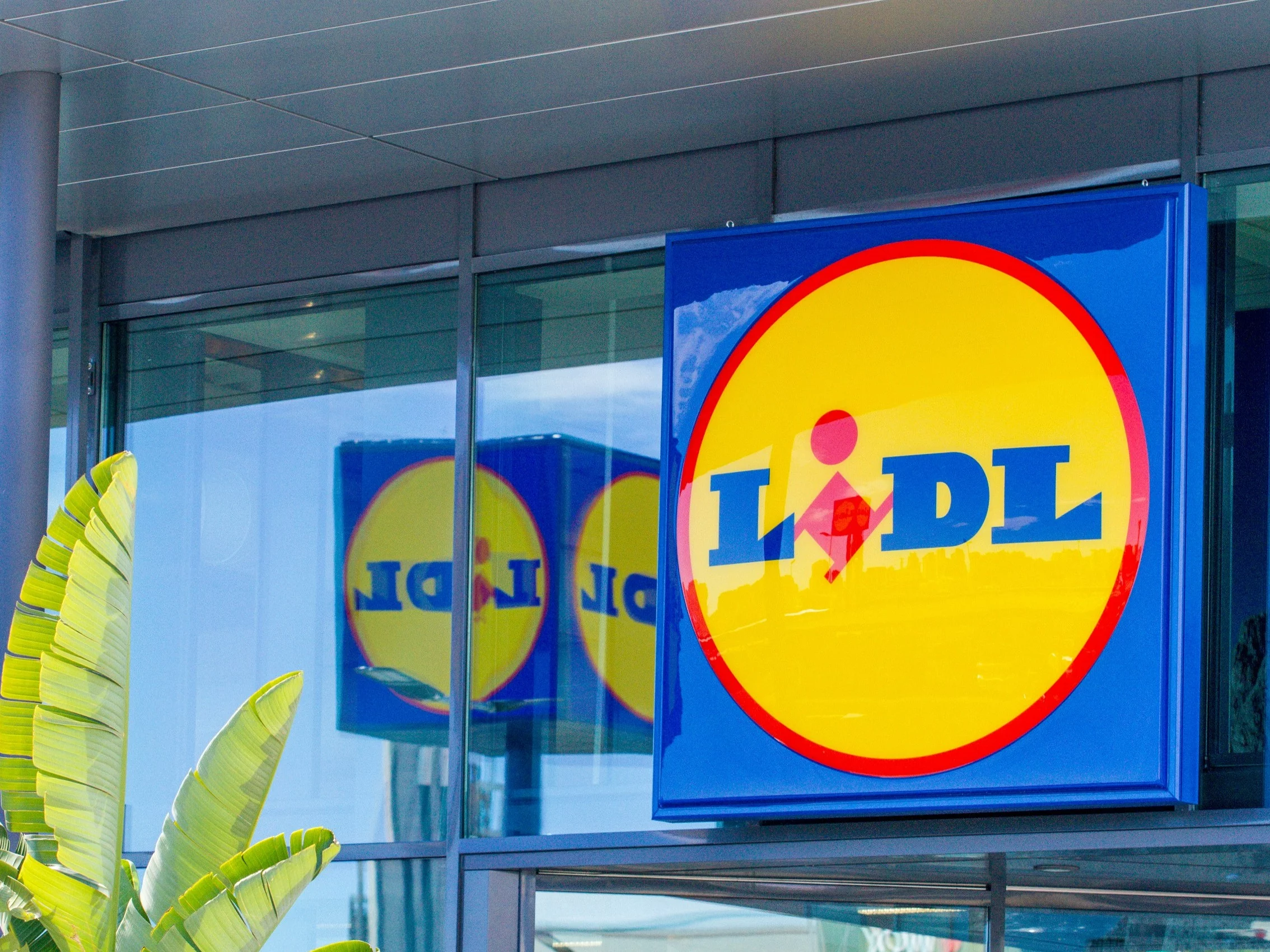 Lidl