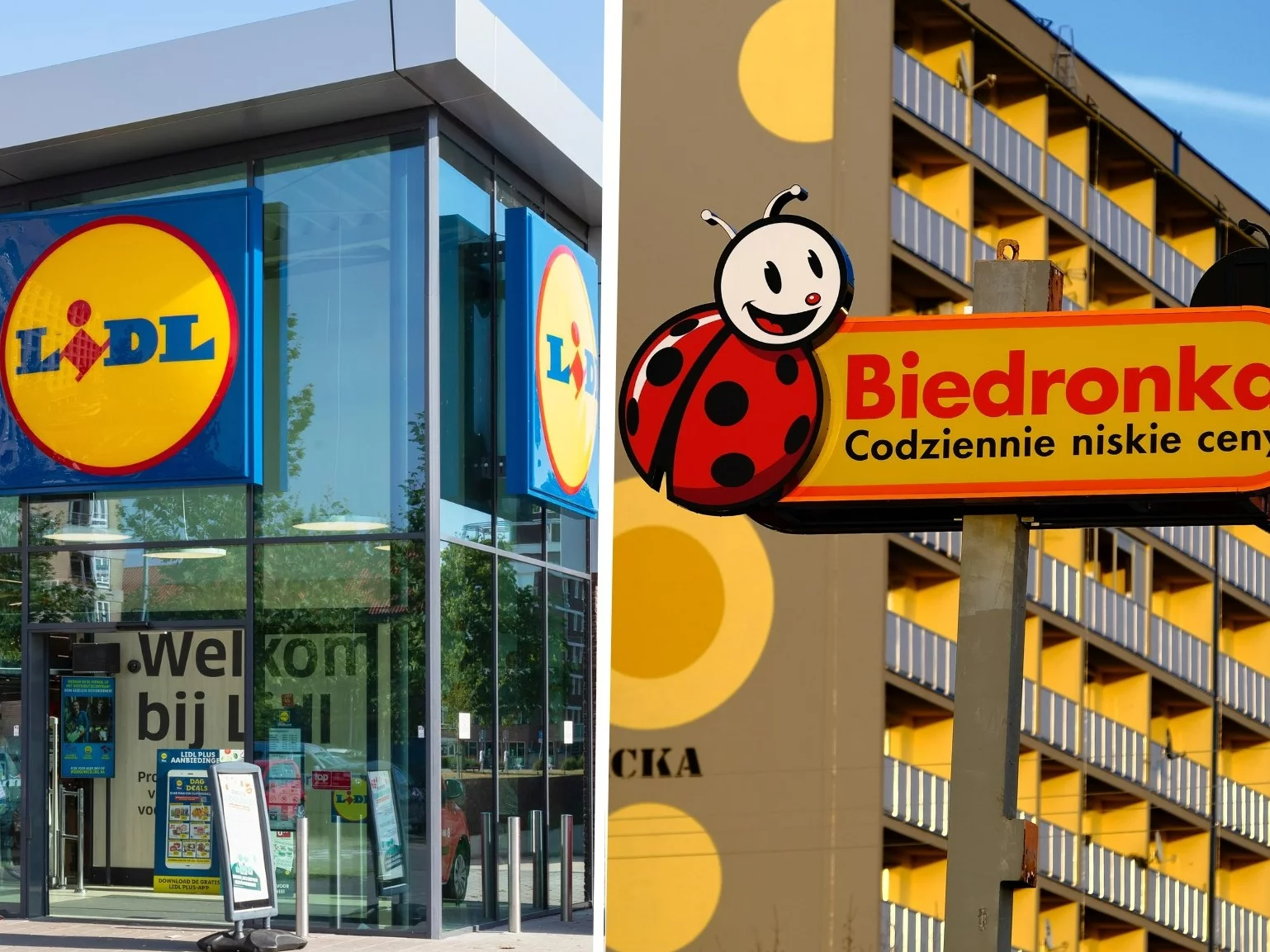 Biedronka i Lidl