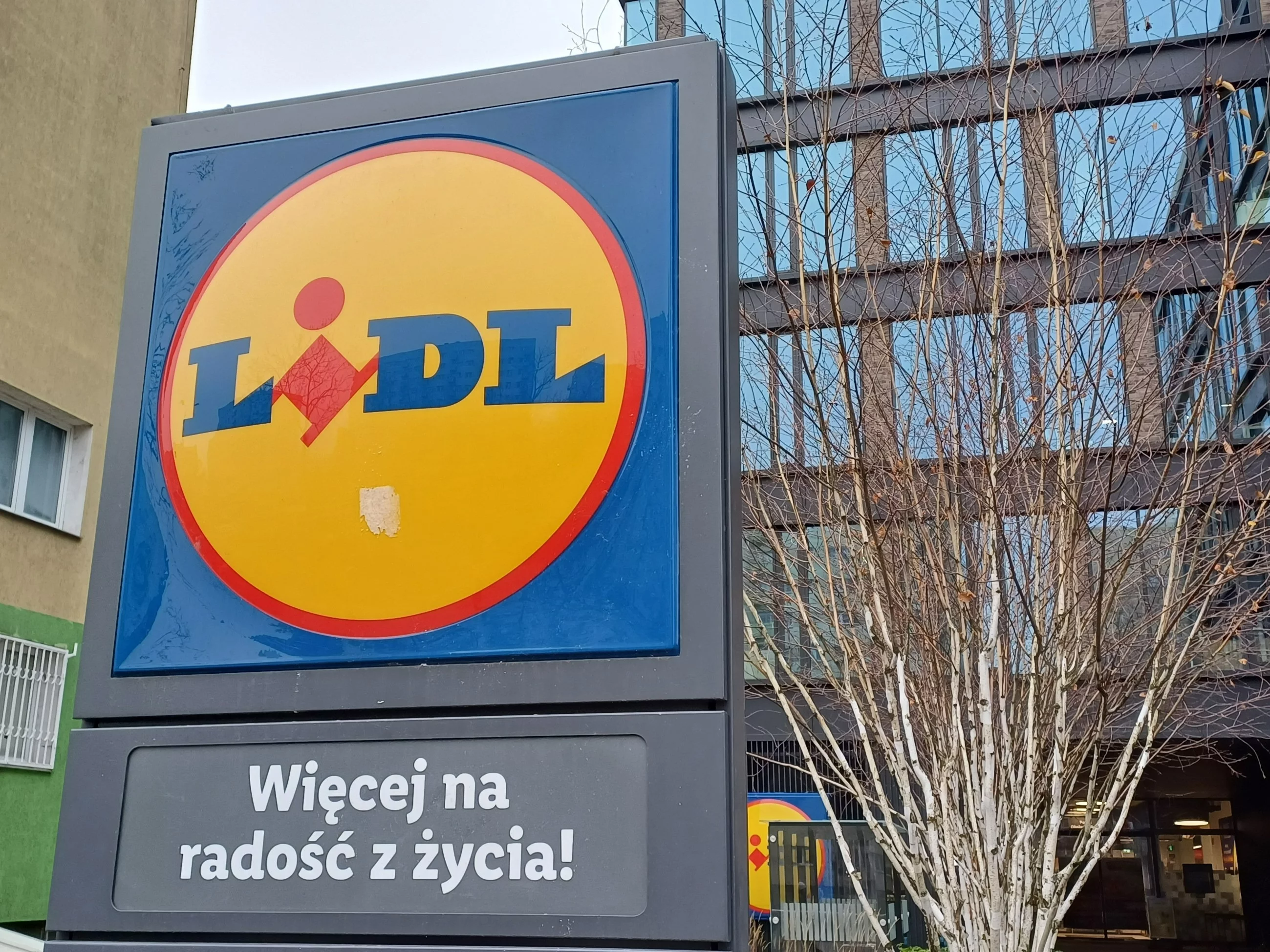 Logo sieci Lidl