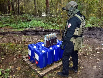 Likwidacja leśnej bimbrowni na Podlasiu