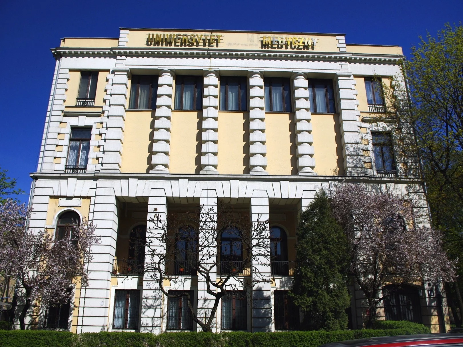 Rektorat Uniwersytetu Medycznego w Łodzi, zdjęcie ilustracyjne