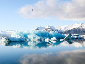 Lód morski Arktyki