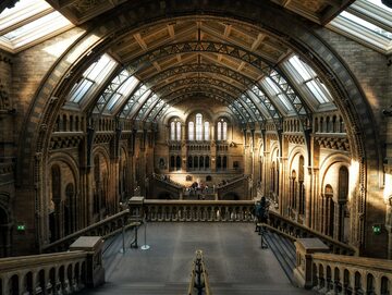 Londyn, Muzeum Historii Naturalnej
