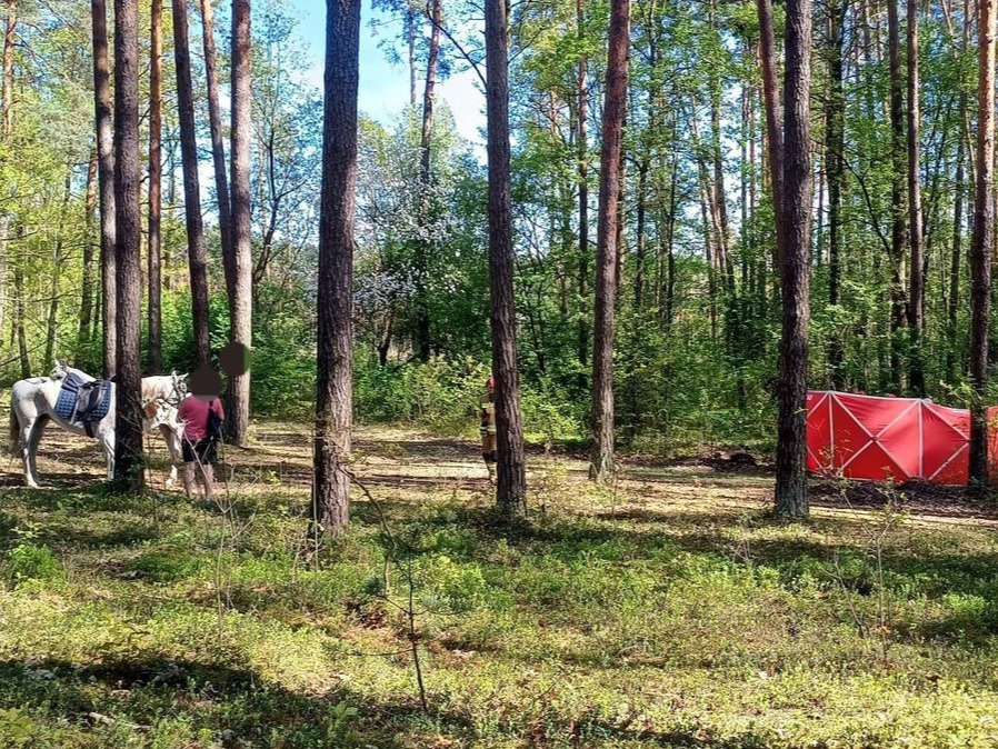 14-latka zmarła po upadku z konia. W sprawę wmieszany jest nietrzeźwy dorosły