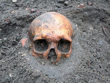 Ludzka czaszka odnaleziona przez archeologów, zdjęcie ilustracyjne