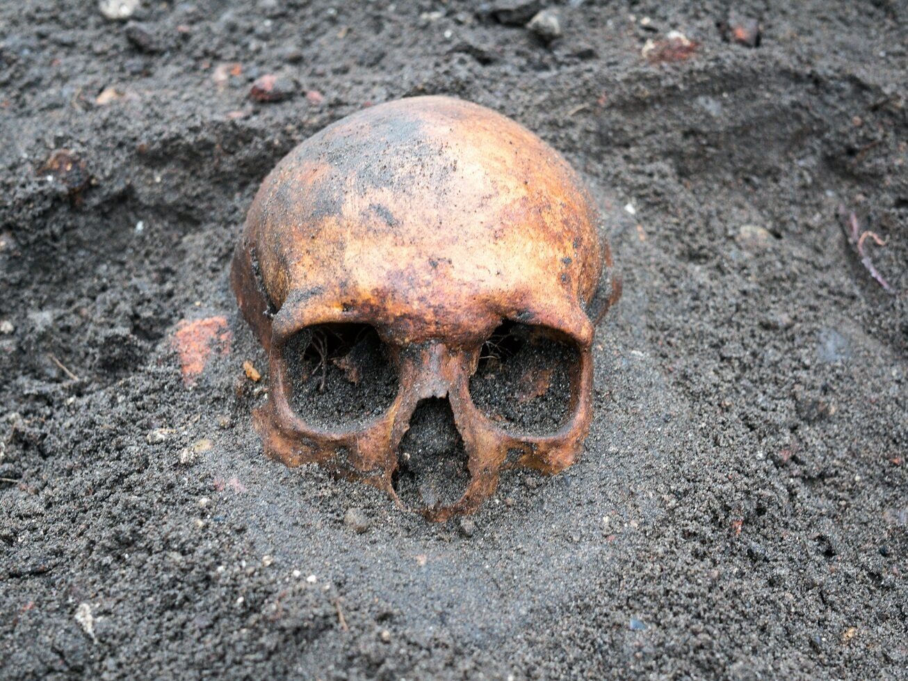 Examinaron cráneos medievales.  Resulta que los dientes fueron la mayor sorpresa – Zdrowie Wprost