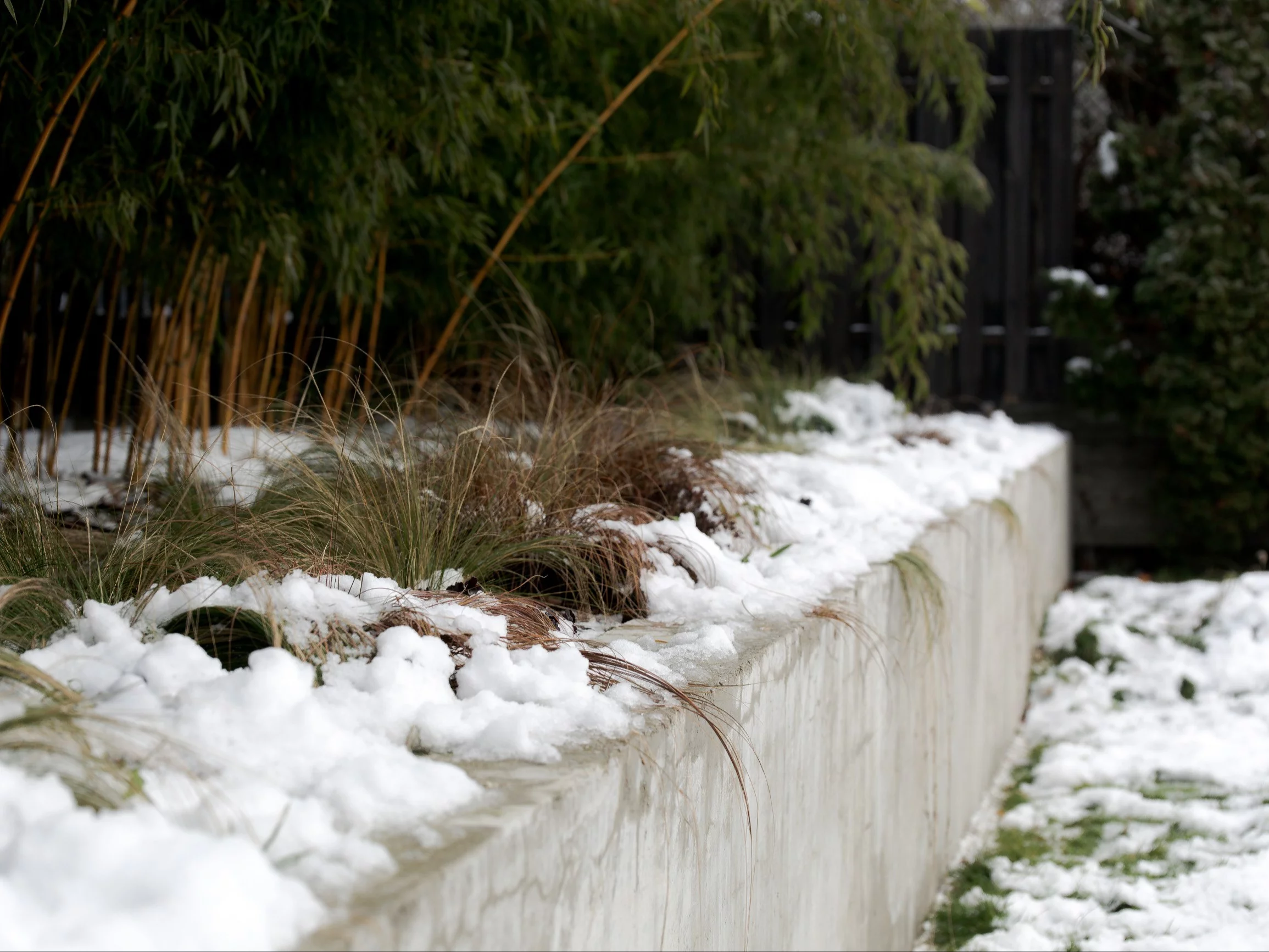 Zima w ogrodzie nie oznacza przerwy – luty to kluczowy moment, który decyduje o starcie roślin na wiosnę