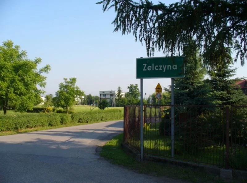 Zelczyna