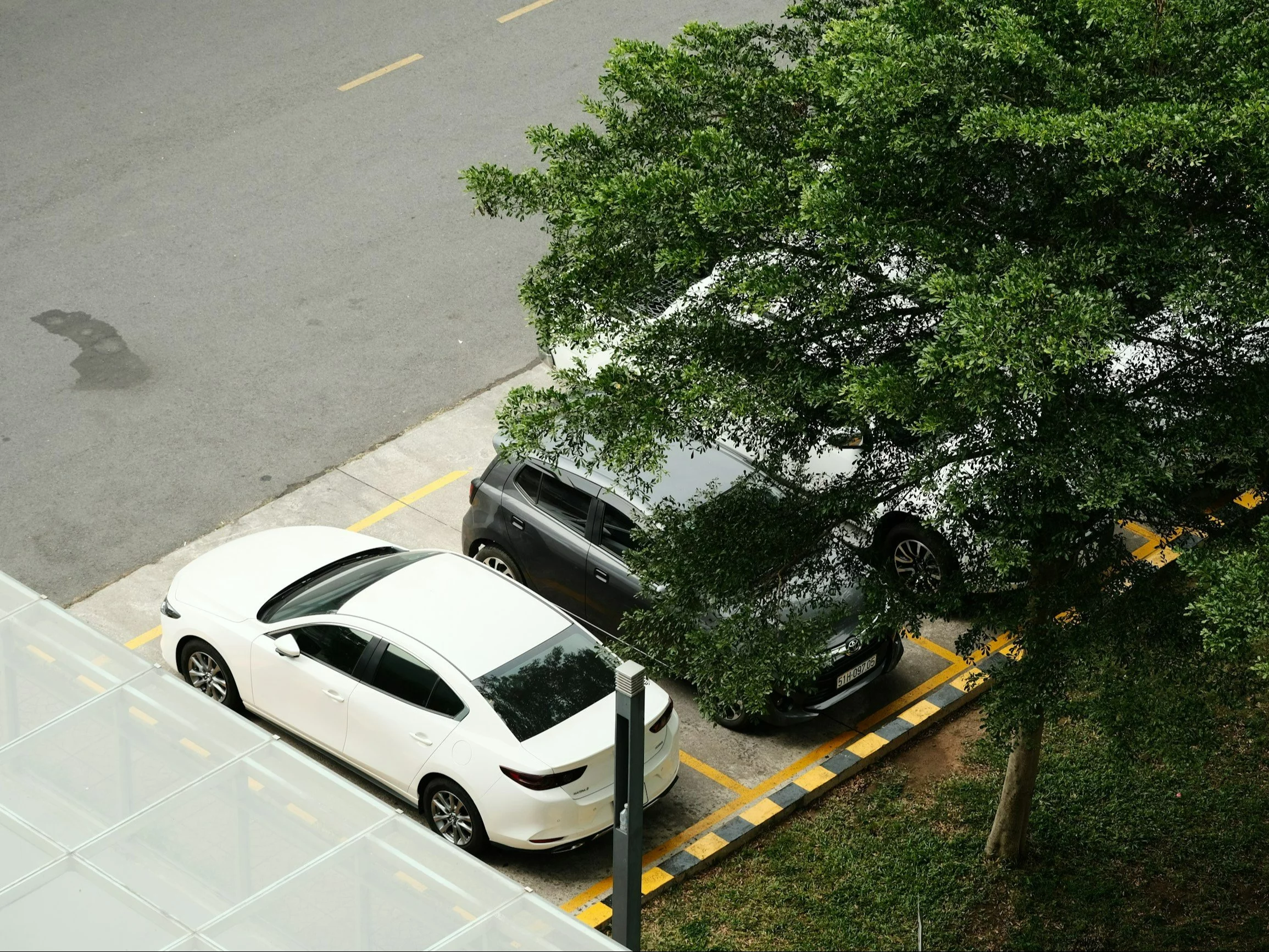 two cars parked in a parking lot next to a tree
