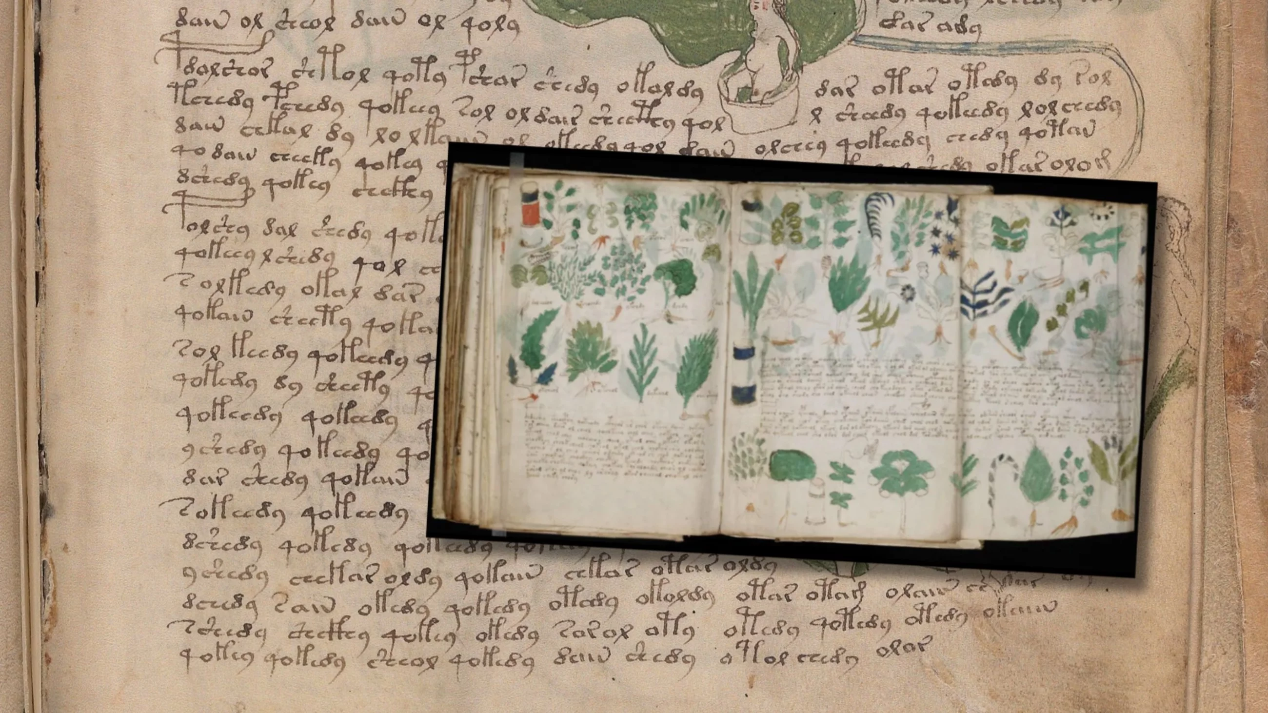 Manuskrypt Wojnicza, zdjęcie ilustracyjne