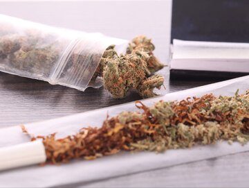 Marihuana, zdj. ilustracyjne