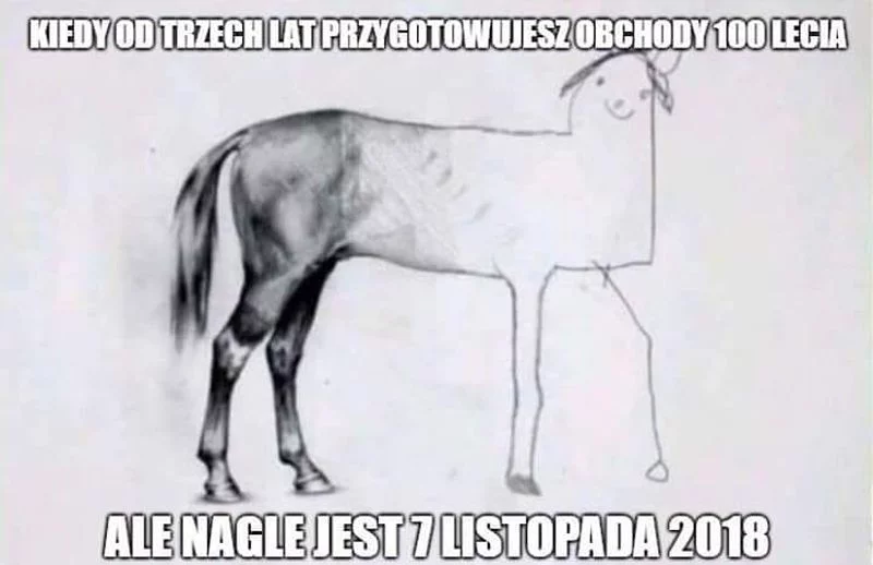 Mem związany z zamieszaniem wokół Marszu Niepodległości