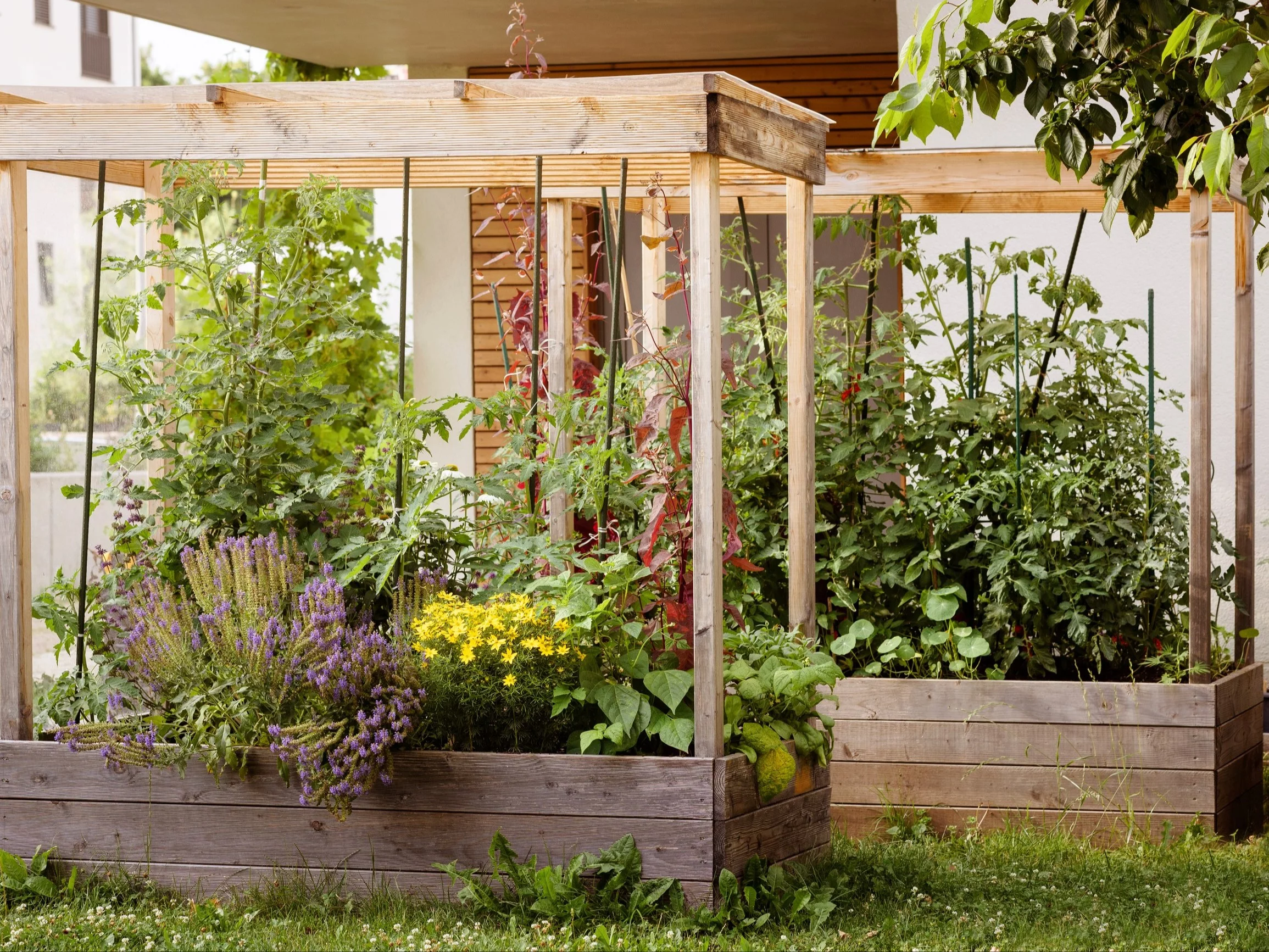 Inspekty pomalowane impregnatem do drewna