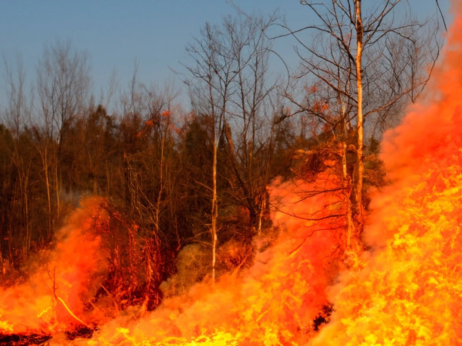Mazury w ogniu. Las gasiło 20 zastępów