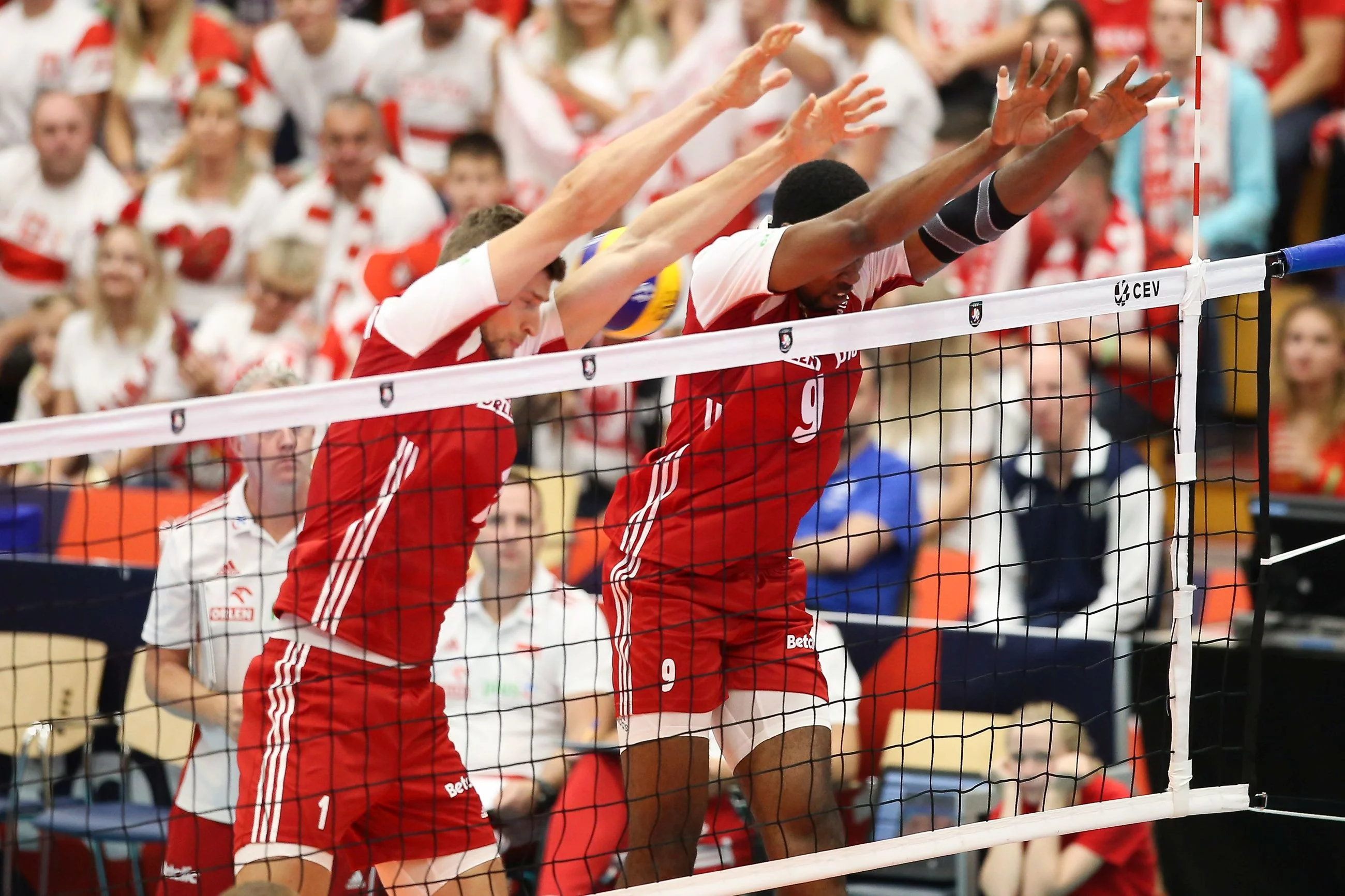 Piotr Nowakowski i Wilfredo Leon