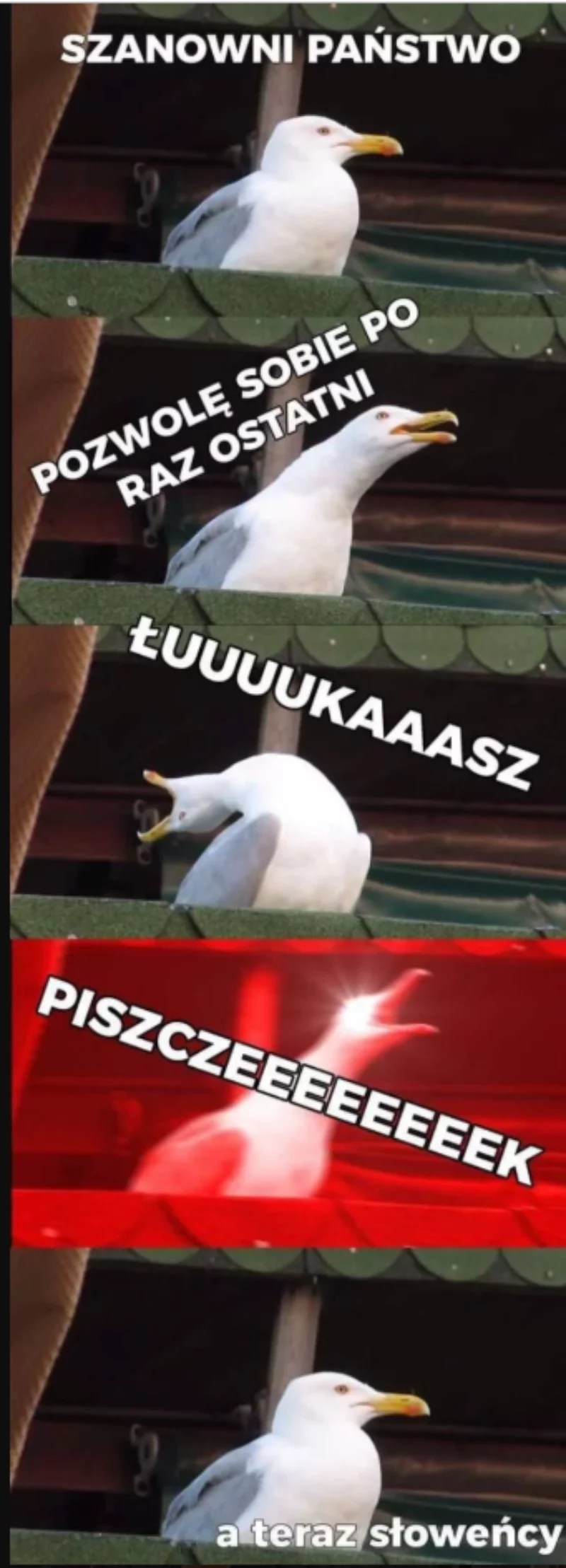 Mem po meczu Polski ze Słowenią