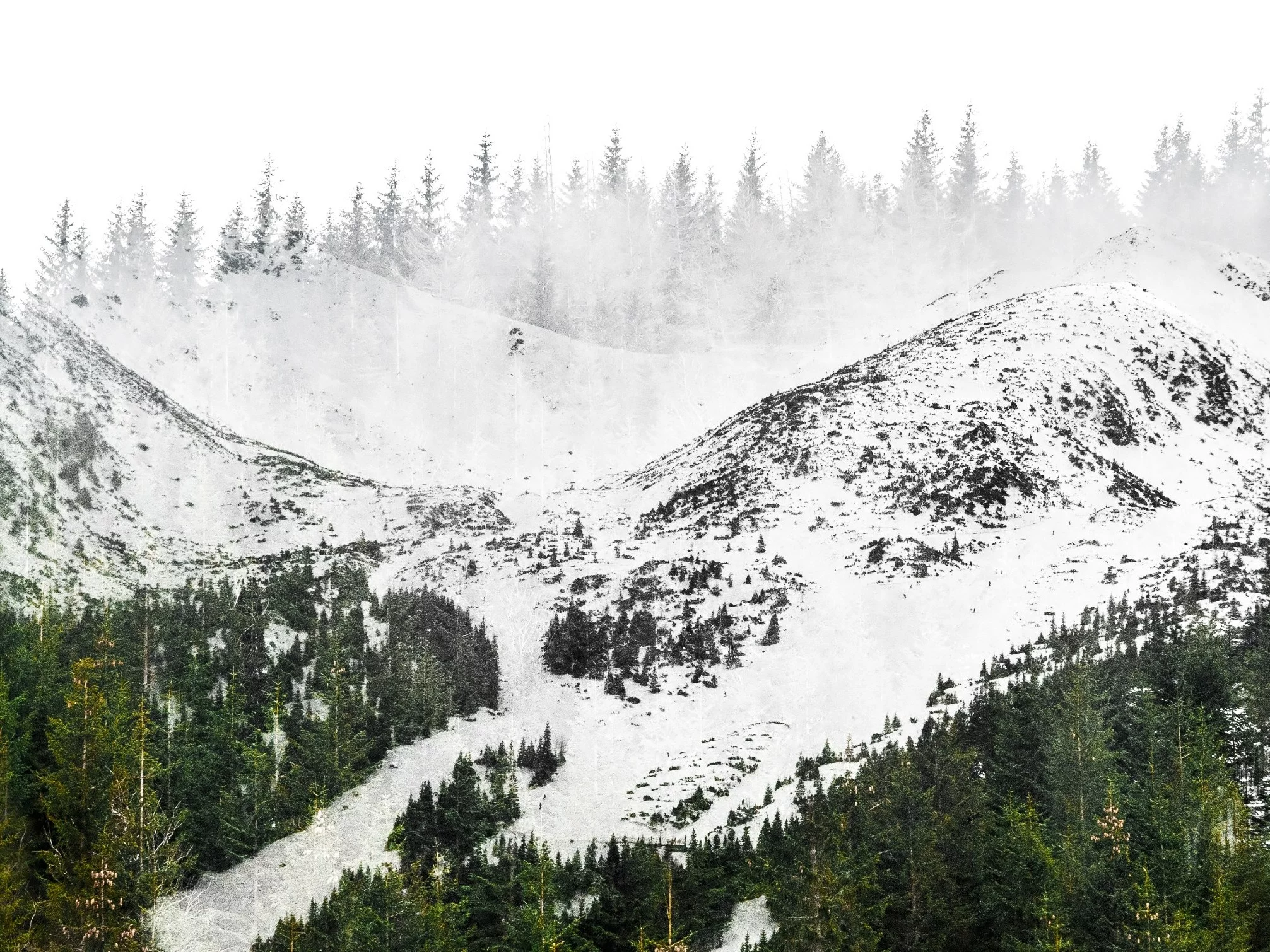 Tatry