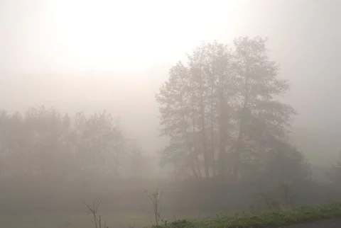 Od kilkunastu godzin nad Poznaniem unosi się mgła (fot. sxc.hu)