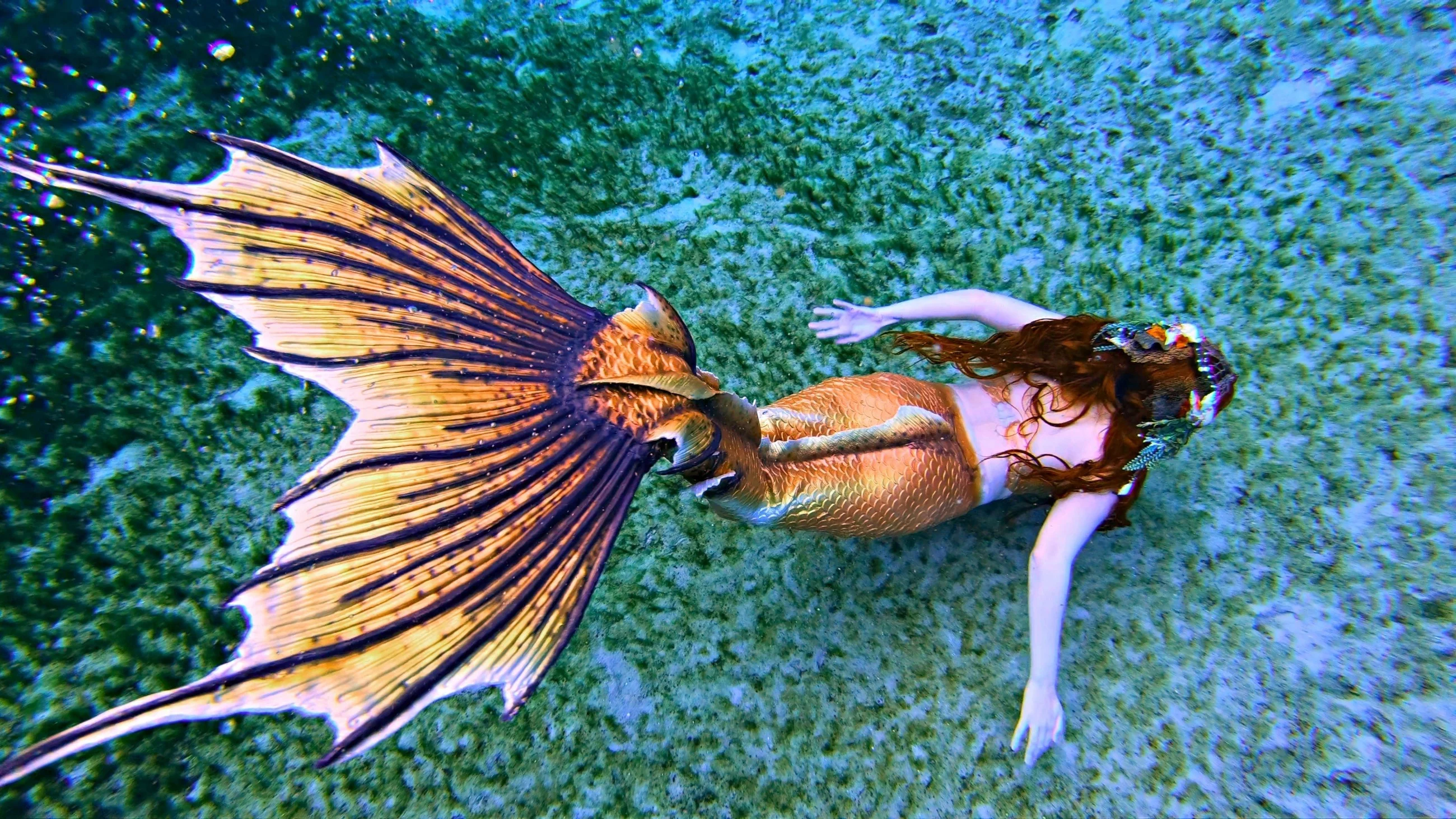 Stephanie Norman jako syrena Raina