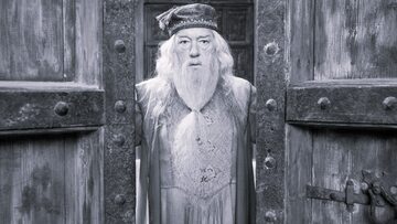Michael Gambon jako Albus Dumbledore