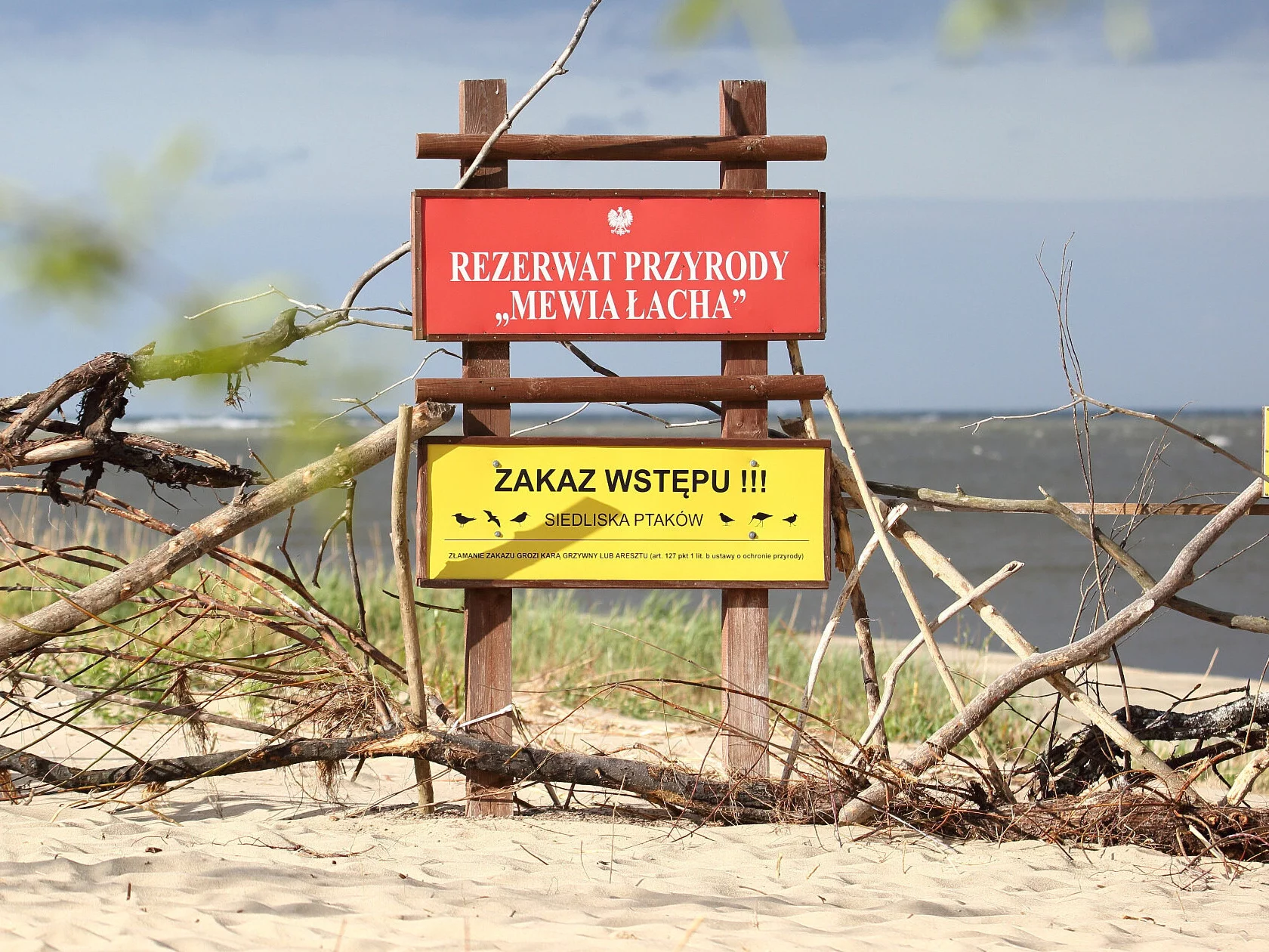 Wyspa Sobieszewska