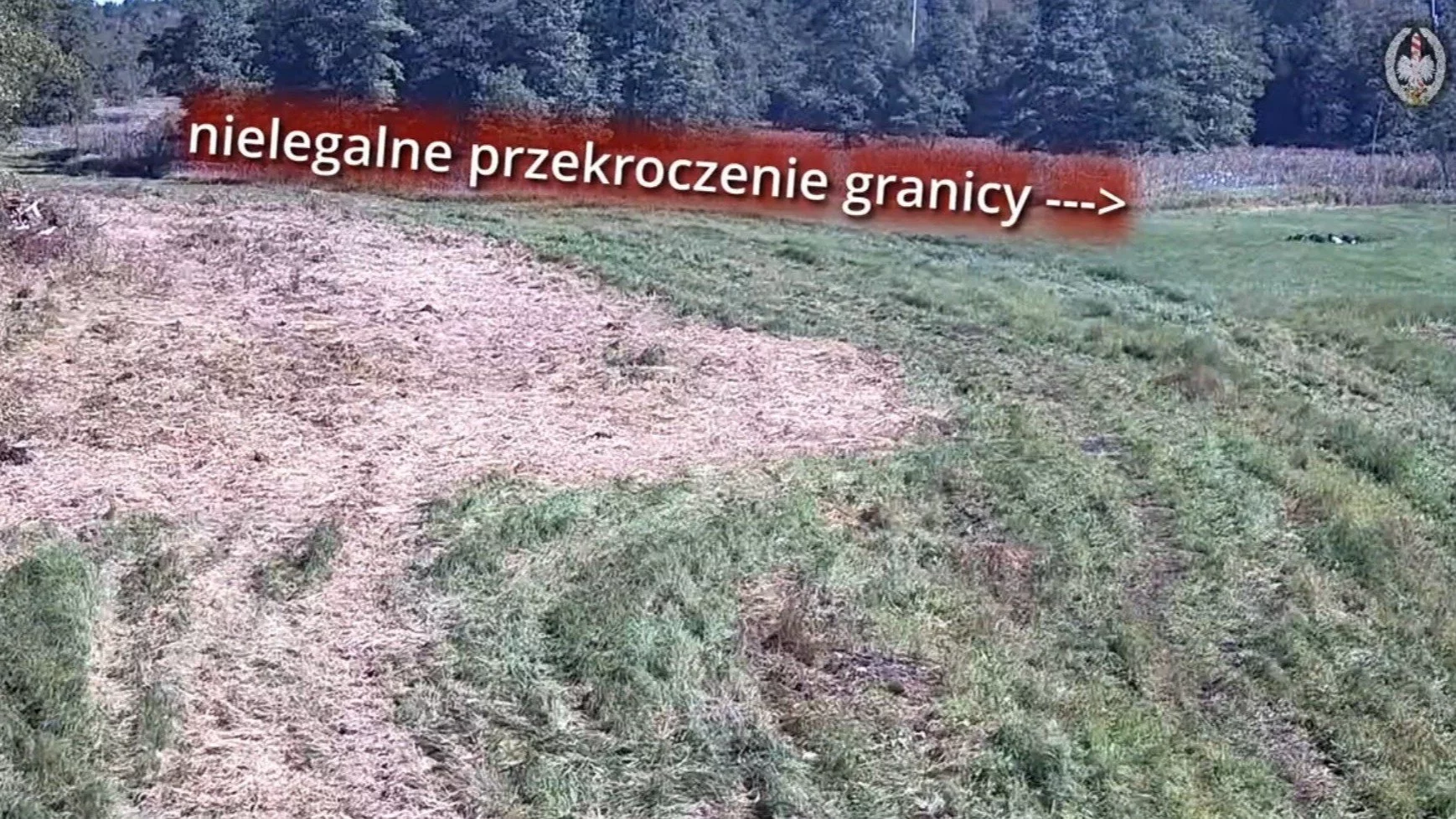 Migranci chcieli oszukać zabezpieczenia na granicy