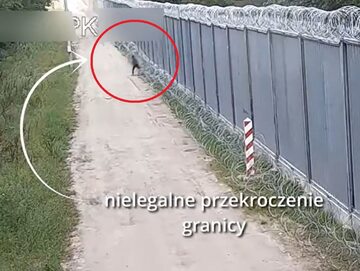 Migrant na granicy polsko-białoruskiej