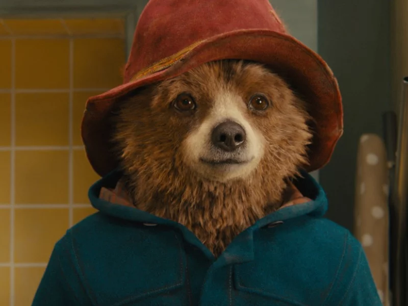 Miś Paddington