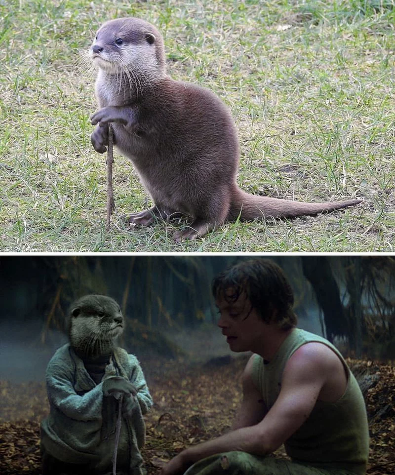 Bitwa mistrzów Photoshopa