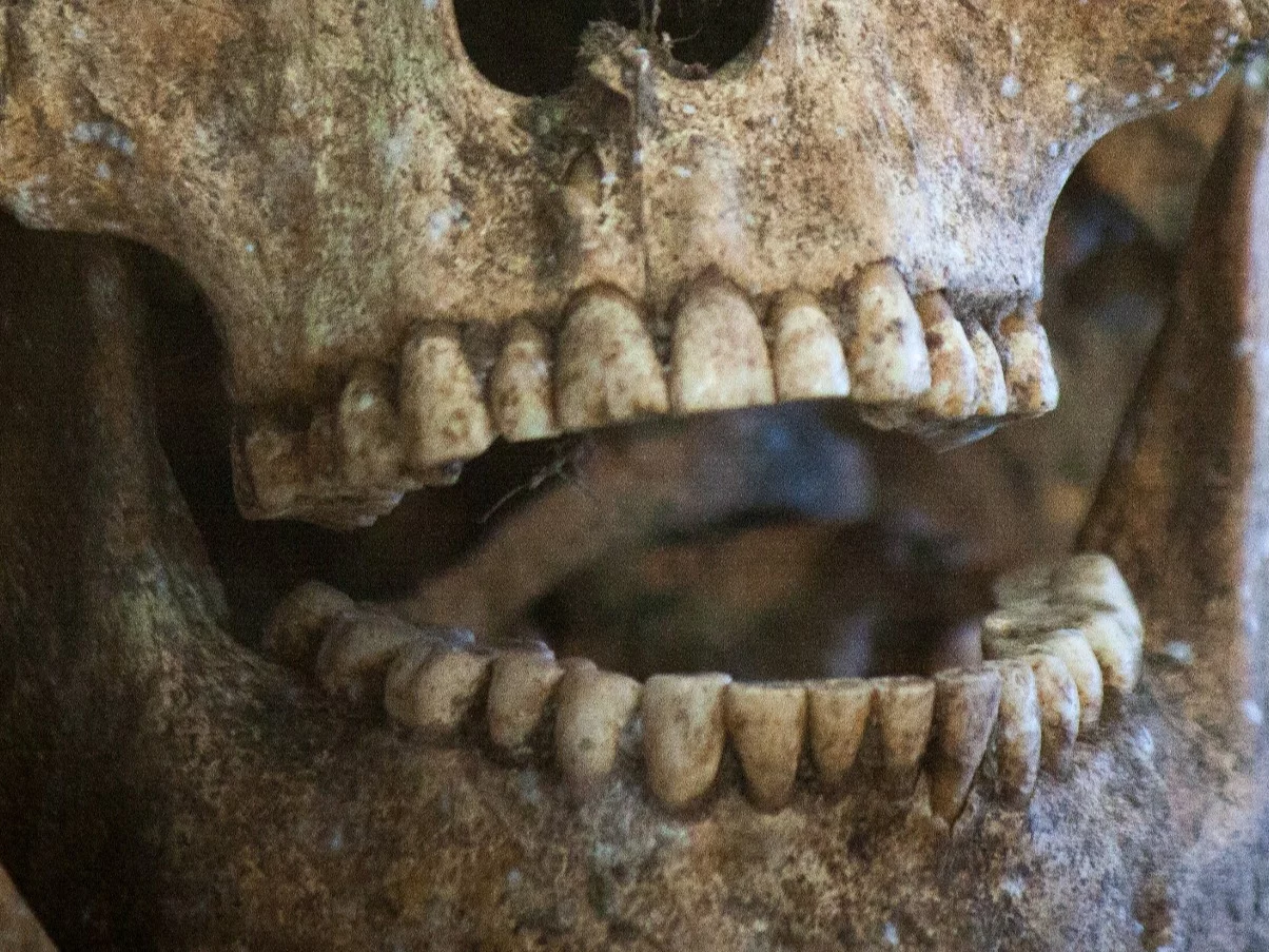 Zęby / antyk, zdjęcie ilustracyjne