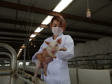 Młoda kobieta trzymająca prosię w jednej z chińskich hodowli świń