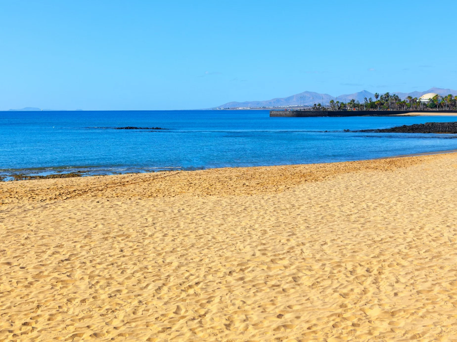 Młody jesiotr wyrzucony na brzeg. Kiedyś był królem wód
