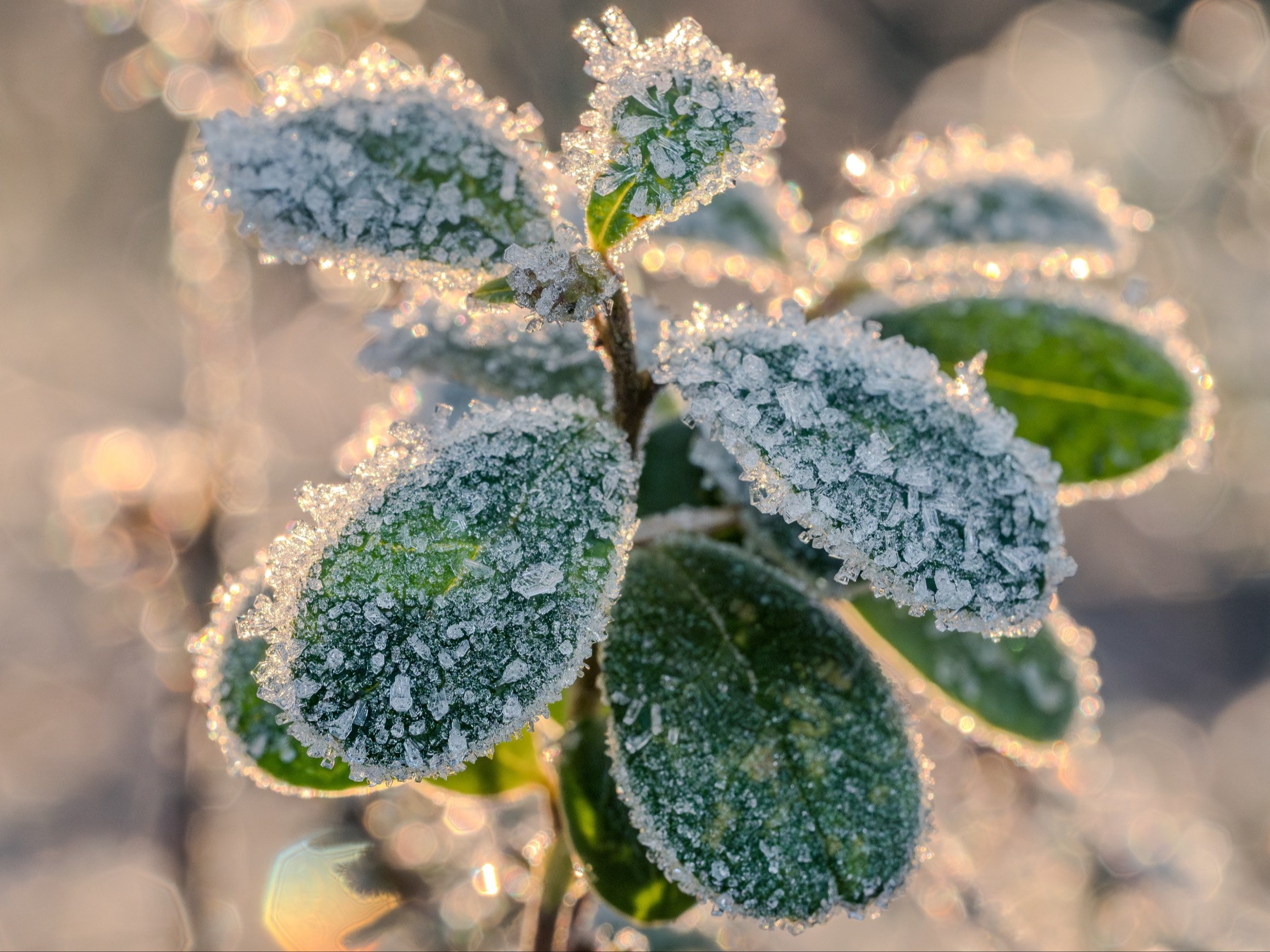 Mróz znów na horyzoncie. Szykuje się wolta w pogodzie