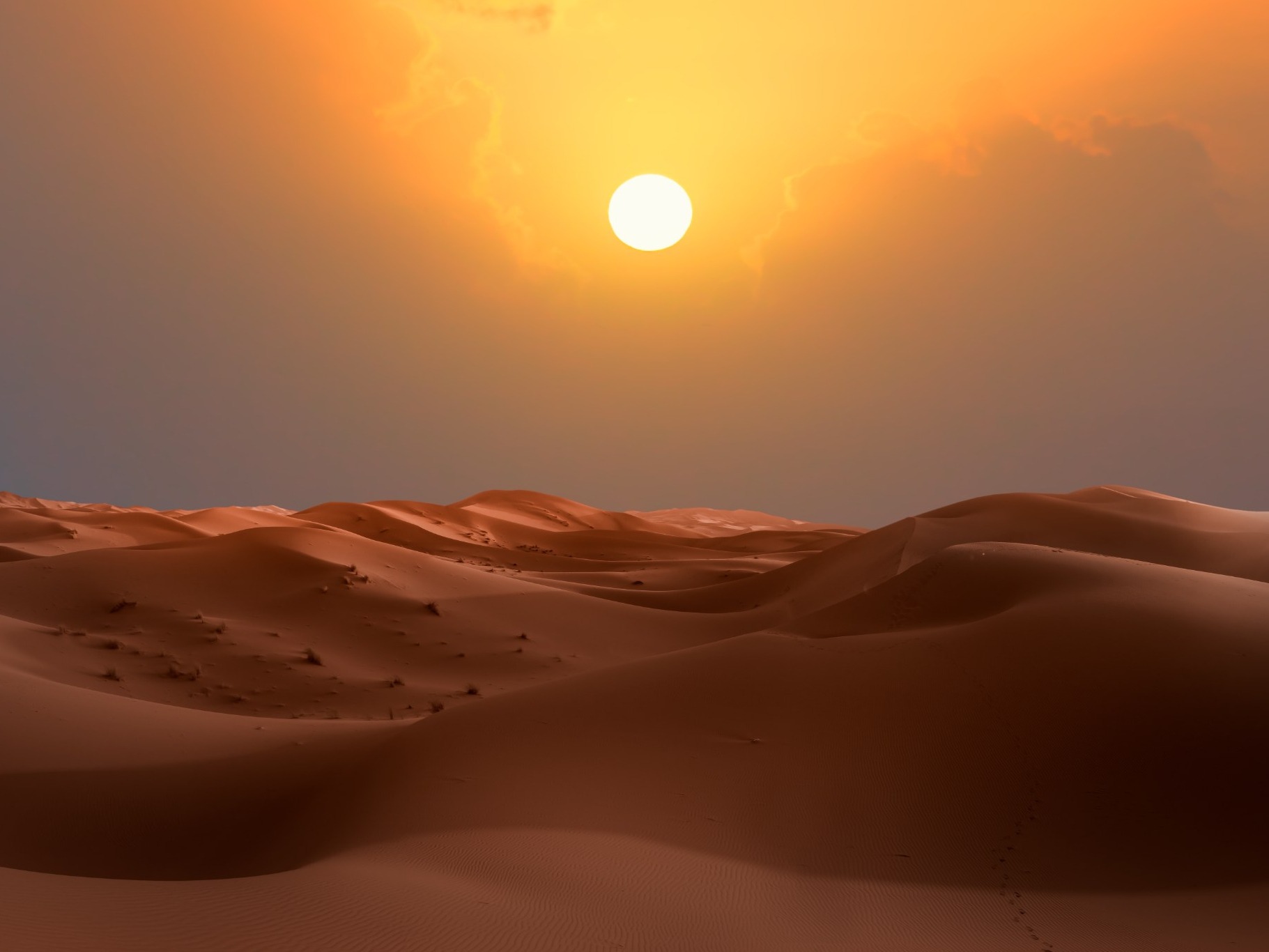 W sercu Sahary odkryto tajemnicze mumie. Ich DNA nie pasuje do żadnej znanej linii człowieka