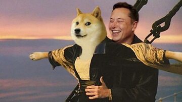 Musk, doge