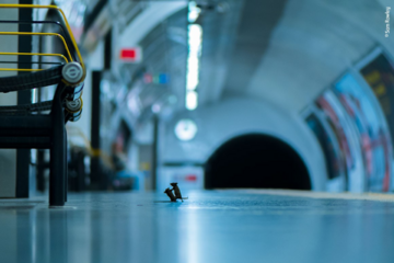 Myszy walczące na stacji metra w Londynie
