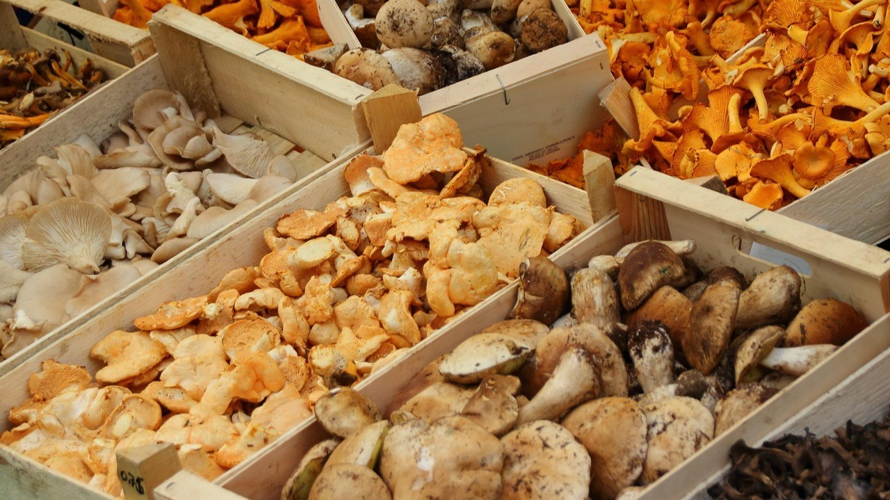 Ważne informacje ws. handlu grzybami. „Ryzyko utraty zdrowia, a choćby życia”