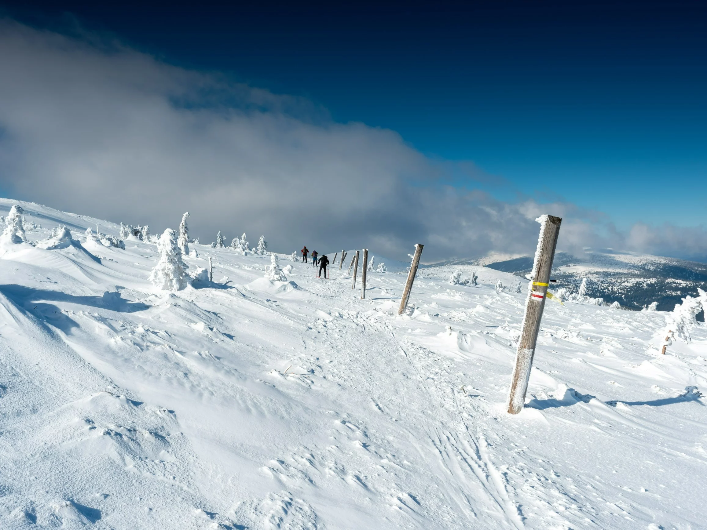 Karkonosze