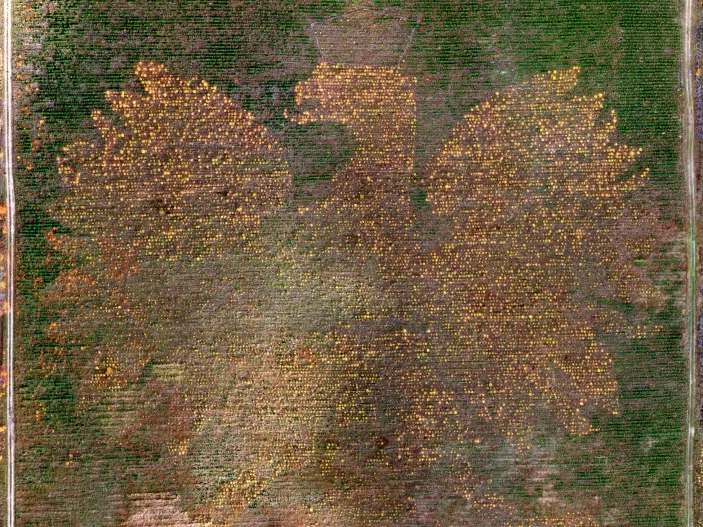 Najbardziej polskie miejsce w Polsce. Leśny orzeł zachwyca turystów