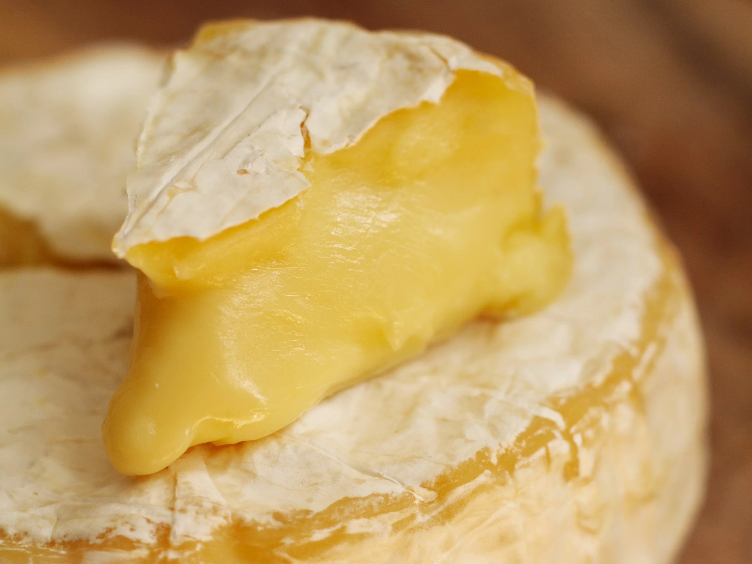 Ser camembert